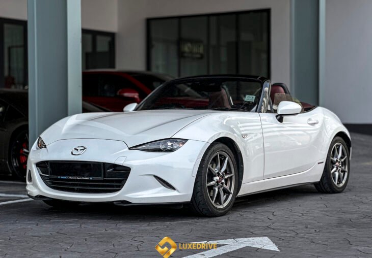 Single Page Thumbnail