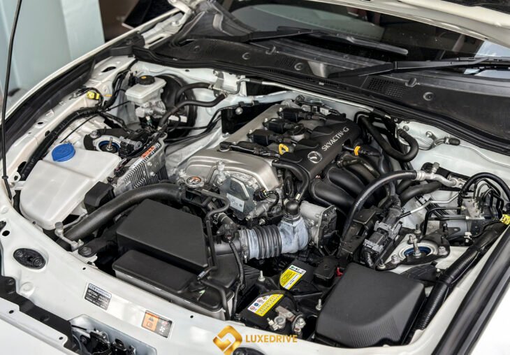 Single Page Thumbnail