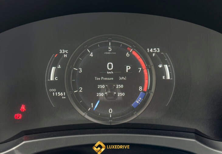 Single Page Thumbnail