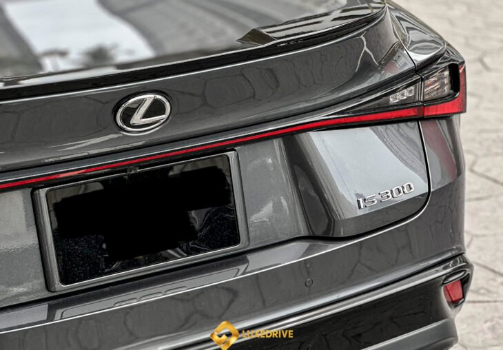 Single Page Thumbnail