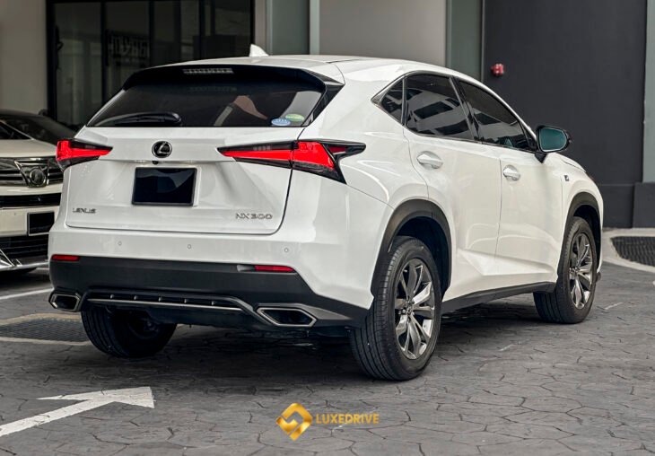 Single Page Thumbnail