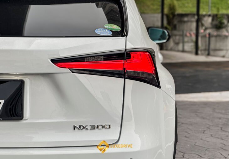 Single Page Thumbnail