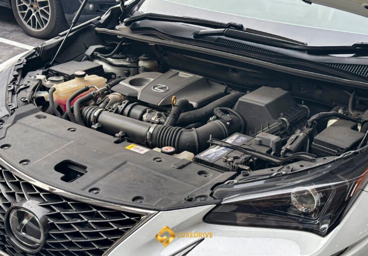 Single Page Thumbnail