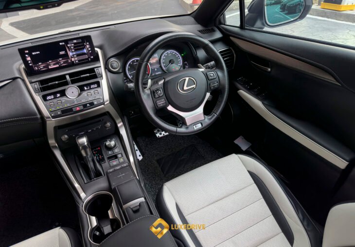 Single Page Thumbnail